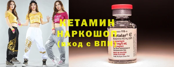 крисы Сосновый Бор