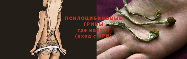 спайс Балахна