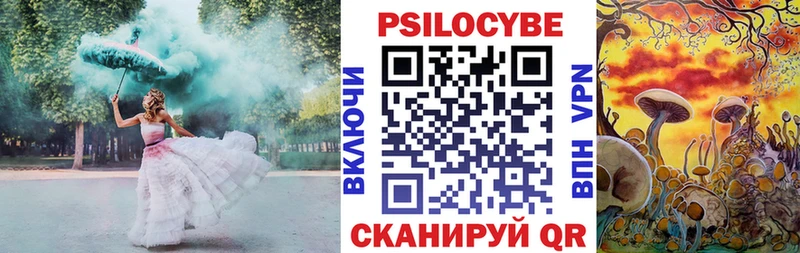 Галлюциногенные грибы Psilocybe  купить   Печора 