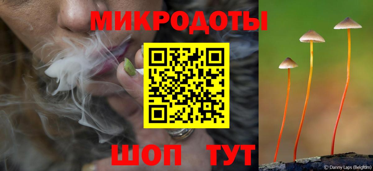 Псилоцибиновые грибы GOLDEN TEACHER Печора